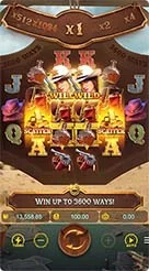 55rp · Wild Bounty Sd